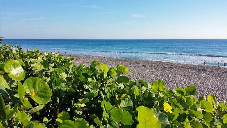 Parque Juno Beach