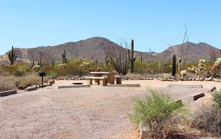 Camping del Parque Regional Usery Mountain