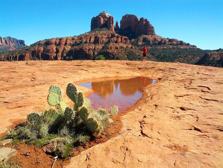 Vista de Cathedral Rock en Sedona