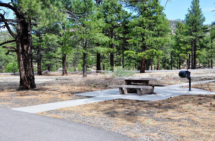 Flagstaff, Camping Bonito