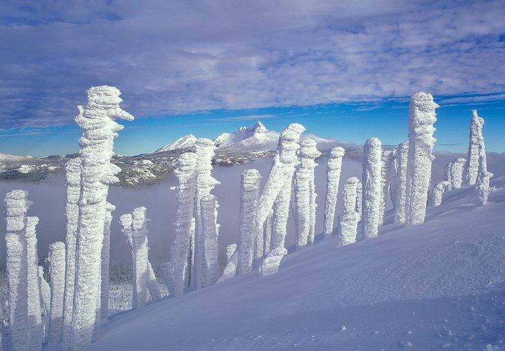 Árboles muertos cubiertos de nieve en la cima de Hoodoo Butte