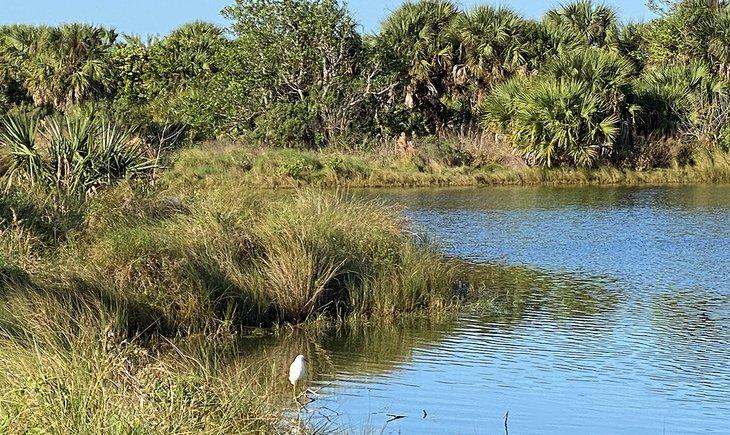 Refuge national de la faune de l'île Pelican