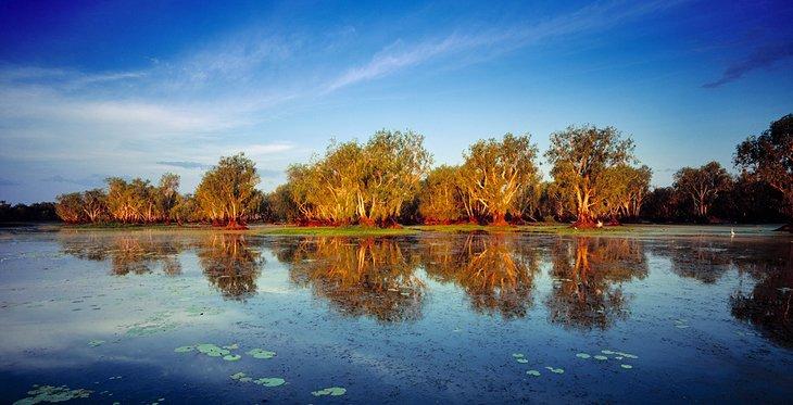 Yellow Water Billabong, Kakadu Nationalpark