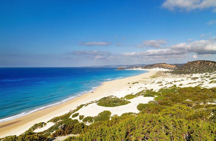 Plage dorée