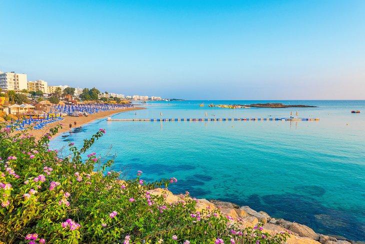 Plage de Fig Tree
