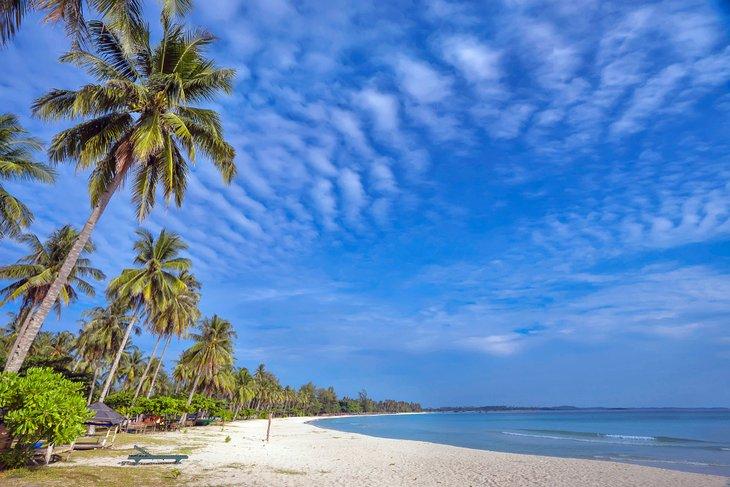 Plage de Trikora bordée de palmiers