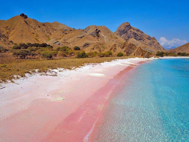 Plage rose sur l'île de Komodo