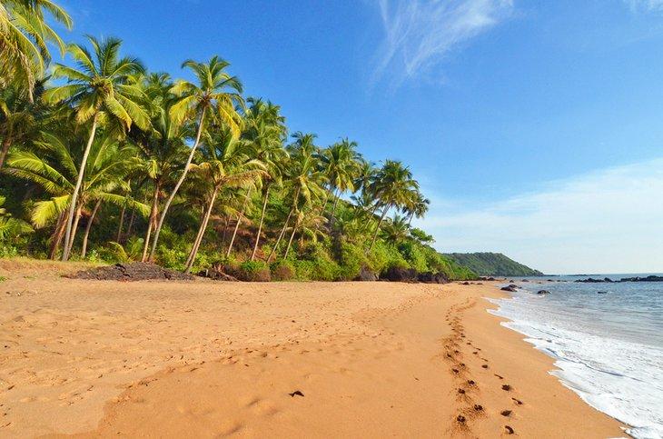 Tropischer Strand in Goa, Indien