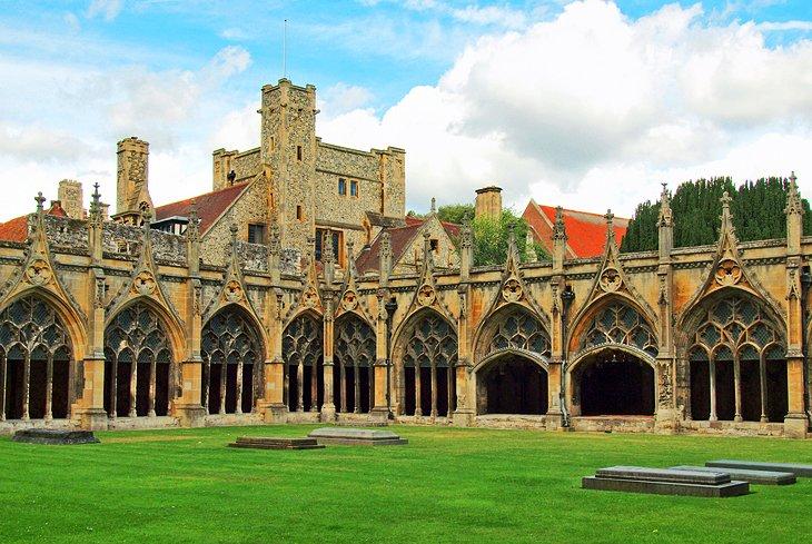 Un Paseo en los Pasos de la Historia: Los Terrenos de la Catedral