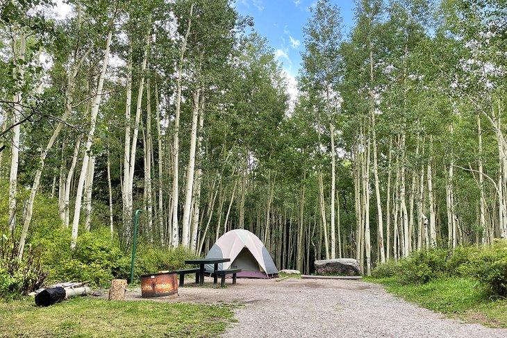 Camping Sunshine