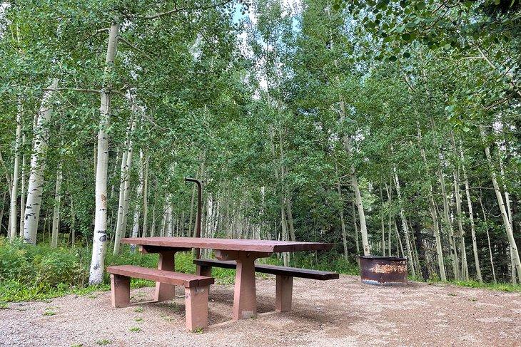 Camping Woods Lake