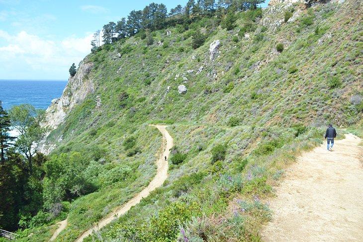 Sentier de Partington Cove