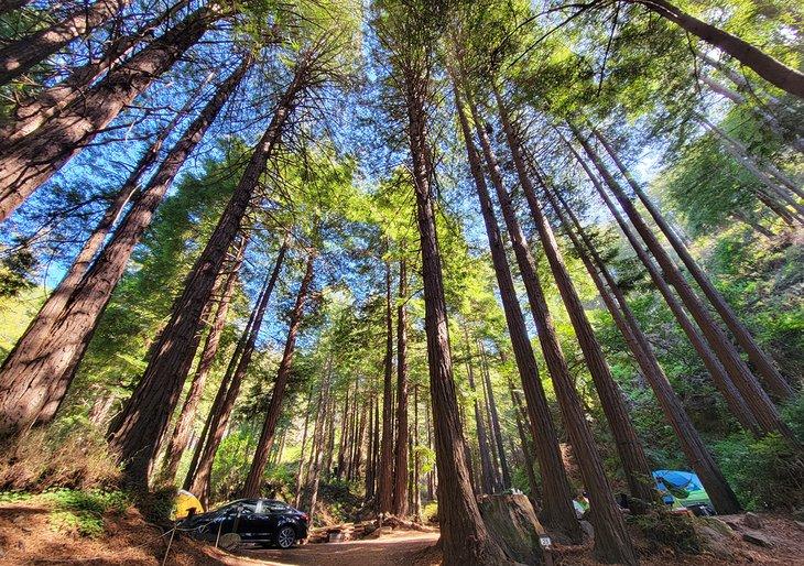Camping en Limekiln State Park