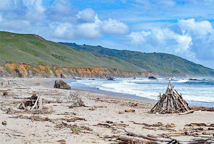 La playa en Andrew Molera State Park