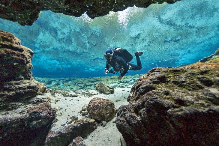 Taucher in Ginnie Springs