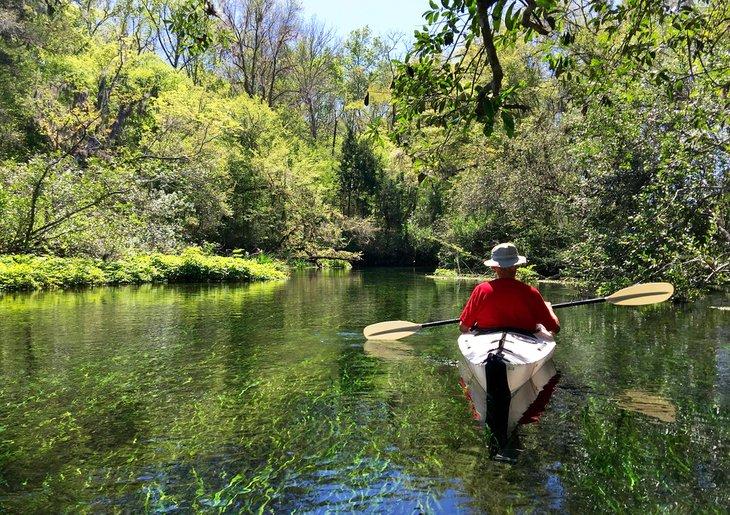 Kajakfahrer genießen Ichetucknee Springs