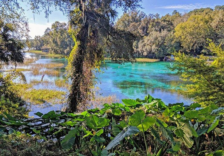 Farbige Rainbow Springs