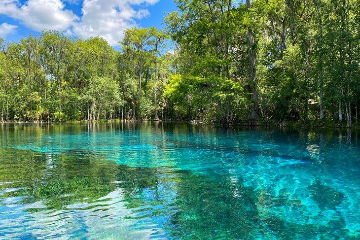 Quellen des Silver River, Silver Springs State Park