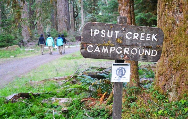 Ipsut Creek Campground-Schild, Mount Rainier Nationalpark