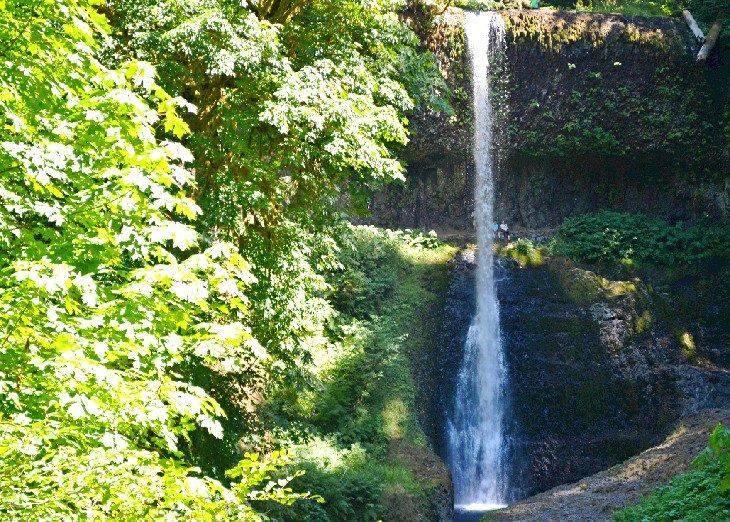 Cascada en Silver Falls State Park