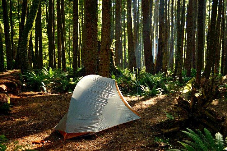Camping para mochileros en Tillamook Head