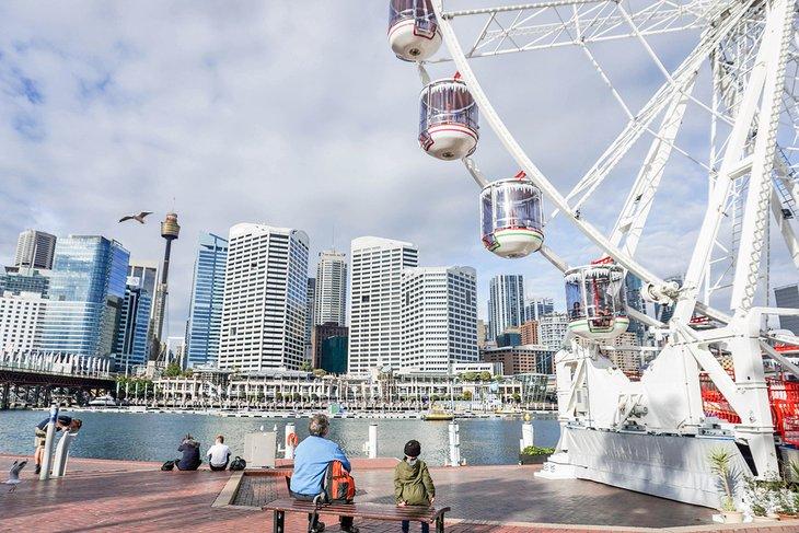 Grande roue de Darling Harbour
