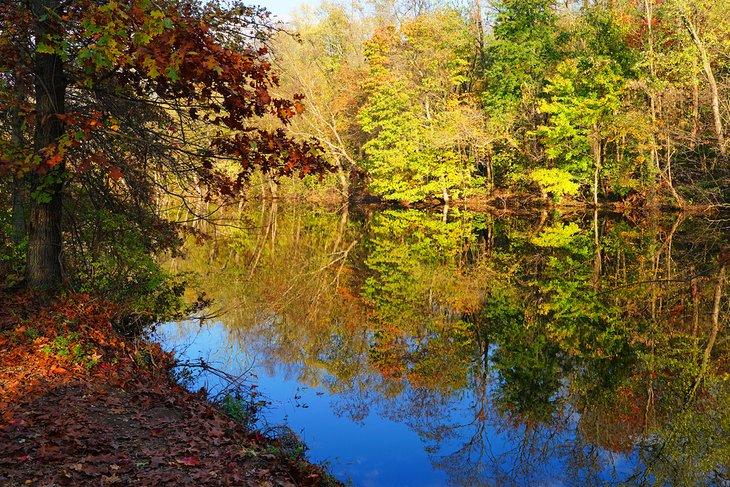 Colores de otoño en el Parque Estatal del Canal de Delaware y Raritan
