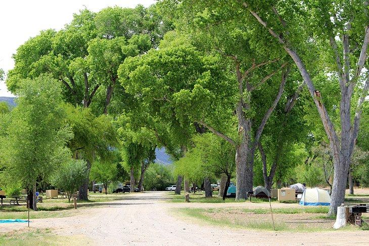Camping Cottonwood