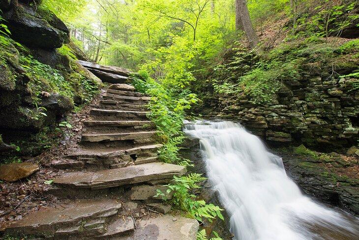 Sendero junto a una cascada en el Parque Estatal de Ricketts Glen