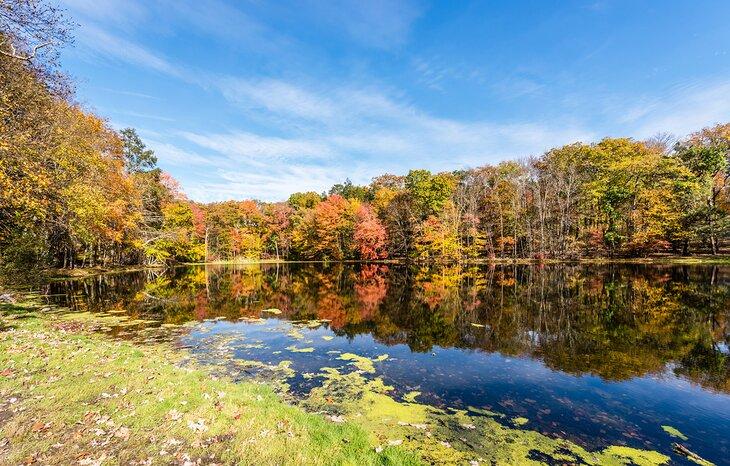 Colores otoñales en los Poconos