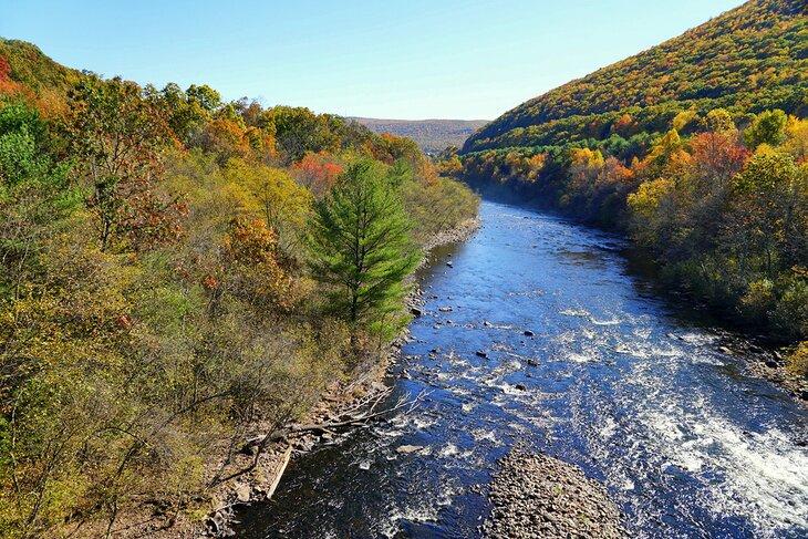 Rápidos en el Parque Estatal de Lehigh Gorge