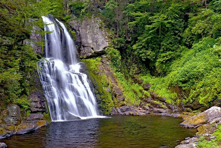 Cascadas Bushkill