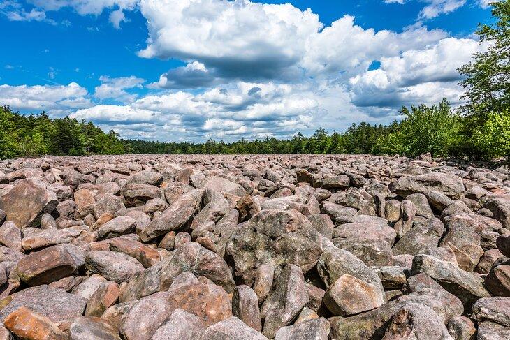 Campo de rocas en el Parque Estatal Hickory Run