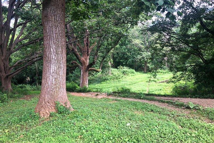 Parque Montrose