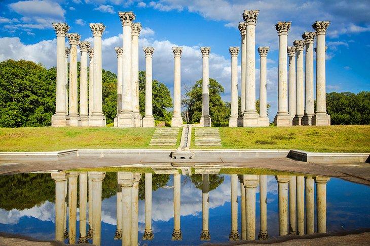 Columnas del Capitolio Nacional en el Arboreto Nacional, Washington, D.C.