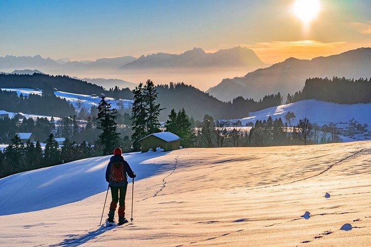 Schneeschuhtour im Bregenzerwald, Österreich