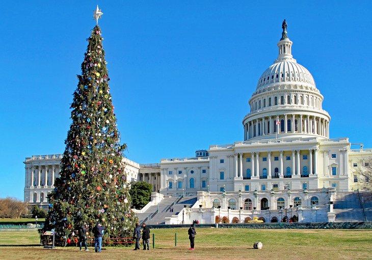 Árbol de Navidad frente al Capitolio en Washington, D.C.