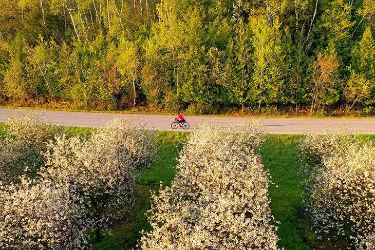 Ciclista en un camino escénico de Door County