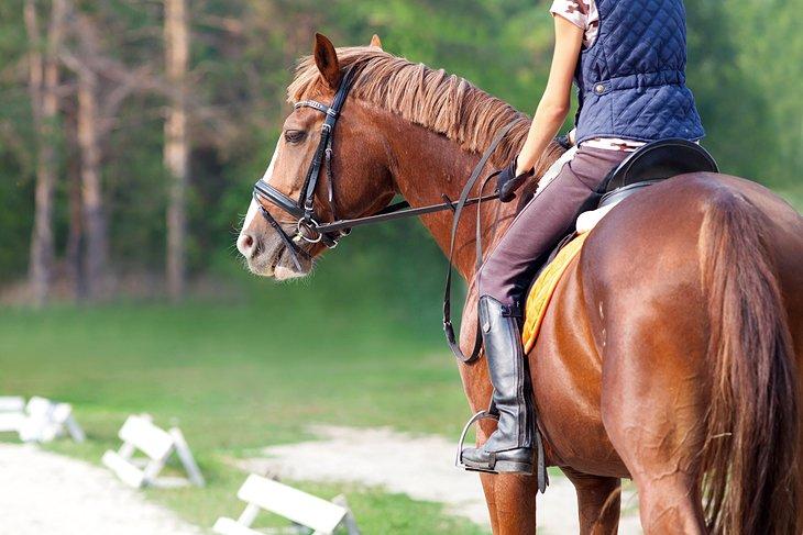 Montar a Caballo