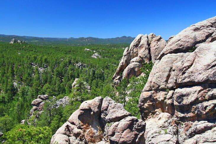 Bosque Nacional Black Hills