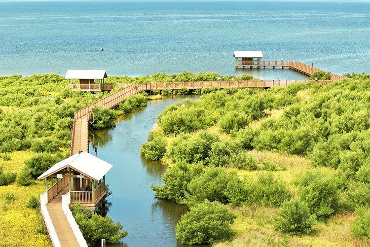 Stege und Vogelblenden im SPI Birding and Nature Center