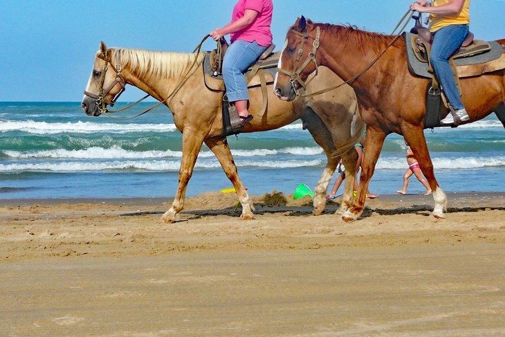 Pferde am Strand von South Padre Island
