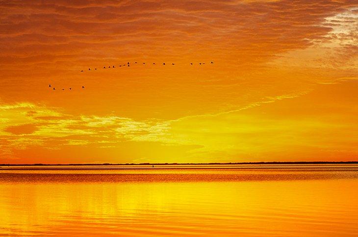 SPI-Migrationen bei Sonnenuntergang