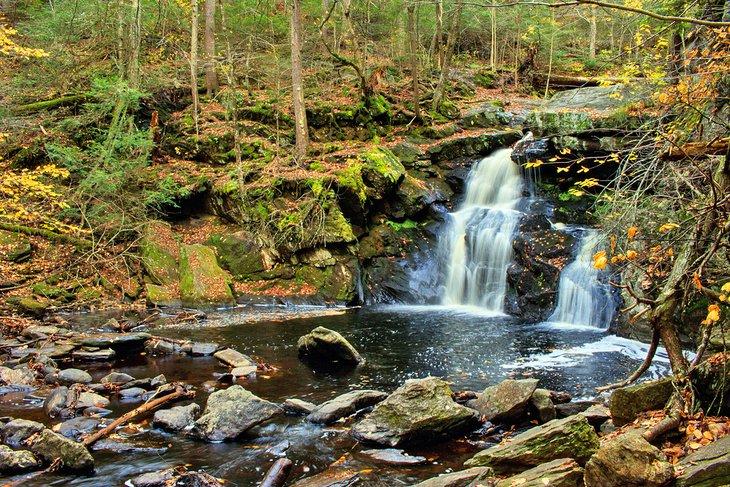 Cascadas de Enders