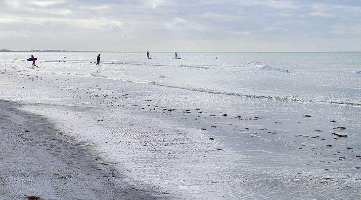 Playa Sarasota en Siesta Key