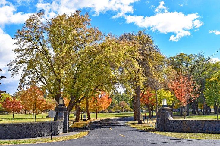 Parque Moore