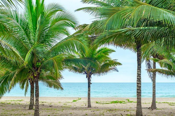 Plage de Puerto Lopez