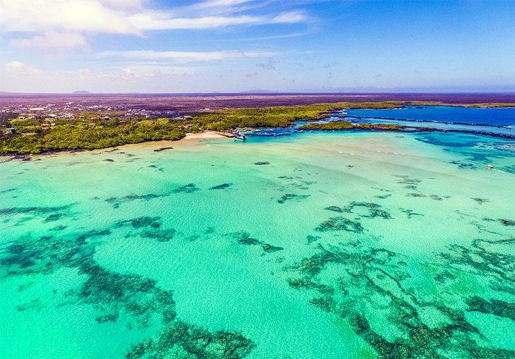 Île Isabel, îles Galapagos