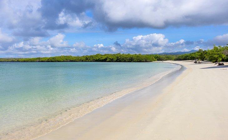 Belle plage de sable de Tortuga Bay à Santa Cruz, îles Galapagos