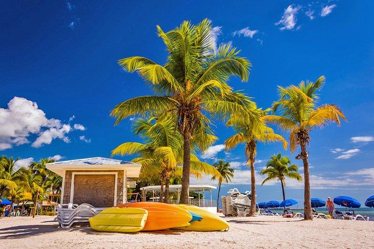 Palmeras y kayaks en la playa de Key West